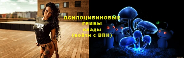 a pvp Абдулино